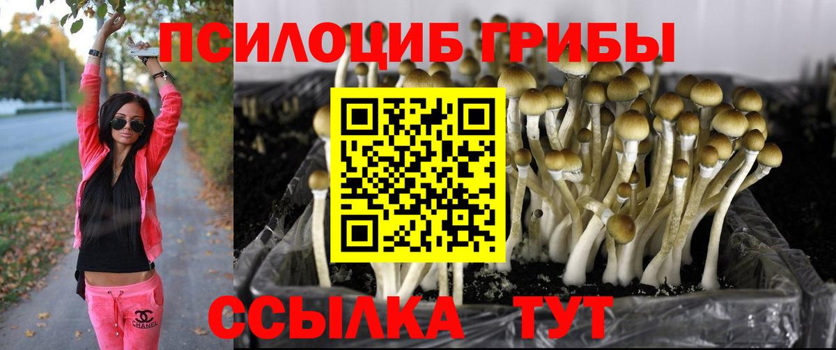 Галлюциногенные грибы прущие грибы Елец